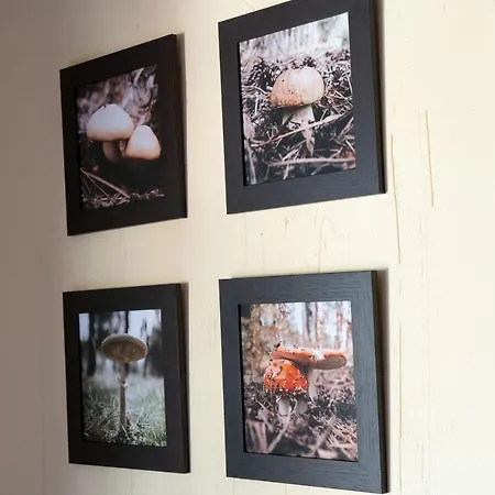 Apartamento La Hoz Cuenca  Buitenkant foto